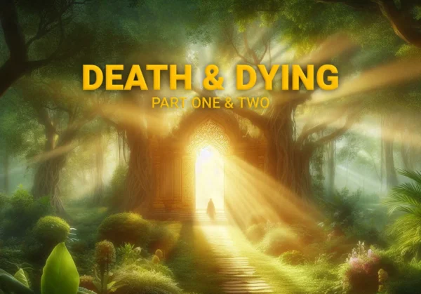 Death & Dying part one & two cover image, man standing in door way in big tree with light illuminating him